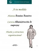 Diseño y estructura organizacional Empresa a tu medida