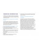 CUIDADOS DEL CACHORRO EN CASA