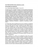 Ensayo: Cultivos ilícitos, Daño ambiental y social.