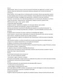 Guia de admistracion de la producion