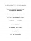 EL CRECIMIENTO A LARGO PLAZO