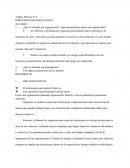 Trabajo Práctico Nº 4 DIMENSIÓN ORGANIZACIONAL