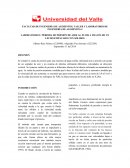 Caida de presion de aire al fluir a travez de un lecho empacado con solidos