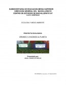 Creando y ayudando al planeta