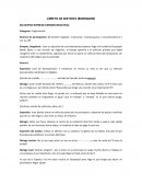 Obra de teatro corto