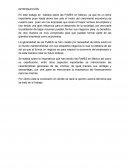 Ensayo de las PyMES en México