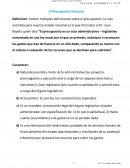 El Presupuesto Nacional. Formacion del presupuesto