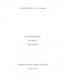 ﻿Accion psicosocial y en la Comunidad