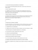 Evaluacion sobre enfermedades del torax
