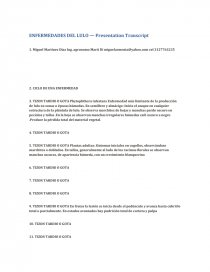ENFERMEDADES DEL LULO — Presentation Transcript. Página 1