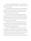 La minería se ha venido desarrollando a pequeña escala o como pequeña minería en esta región