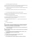 Turismo. Que señala la organización mundial de turismo