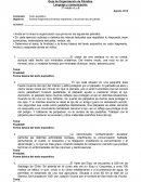 Guía de Organización de Párrafos Lenguaje y comunicación
