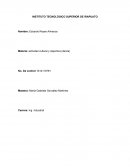 Traje típico de irapuato