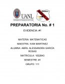 Actividad integradora Evidencia Matematicas