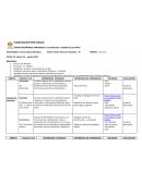 PLANIFICACION POR UNIDAD