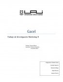 Trabajo de Investigación Marketing II La historia de los zapatos