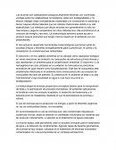 Ensayo bioquimica