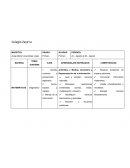 Planeacion Matematicas I Secundaria