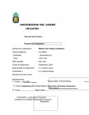 Programa de metodo de trabajo academico