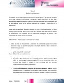 Tarea 2 Medios de reclutamiento