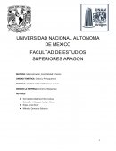 Costos y Presupuestos EMPRESA: GOLDEN LION CLOTHES S.A. de C.V.