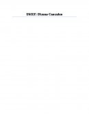 INVESTIGACION DE MERCADO BRIEF