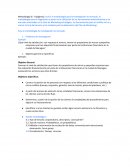 Metodologia de investigacion de mercado