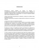 MERCADO Y CONSUMIDOR