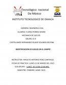 IDENTIFICACION DE SUELOS EN EL CAMPO