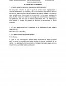 Plan de vida y trabajo