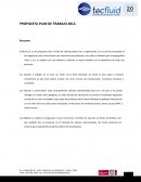 Plan de visitas sur de chile