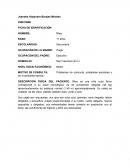 Multiaxial intensamente