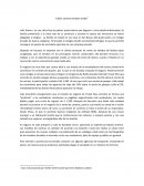 CASO: Carteras Andean Snake