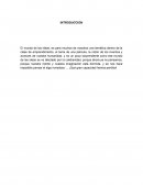 Ensayo Pelicula el origen