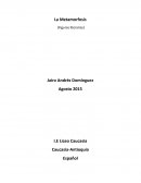 La Metamorfosis (Figuras literarias)