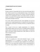 ¿Tenemos menos agua en el mundo?