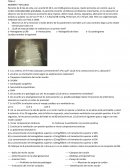 Cuidados prenatales parcial