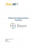 POlitica de compensaciones y beneficios, BAYER