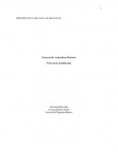 PRINCIPE DE LA ISLA DE LAS BALLENAS