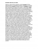 RESUMEN LIBRO BOLA DE SEBO