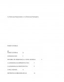 DEMOCRACIA PARTICIPATIVA