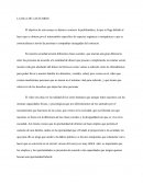 La isla de las flores