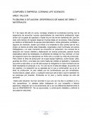 Proyecto de ingenieria industrial