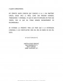 Carta de recomendación