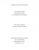 Desarrollo del aparato respiratorio