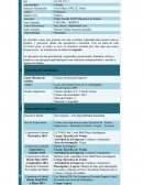 Modelos de curriculum