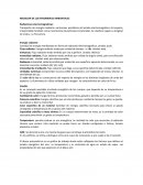 MEICION DE LOS FENOMENOS AMBIENTALES