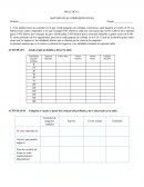 Gráfica rentabilidad