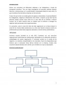 Consultora de Motivación